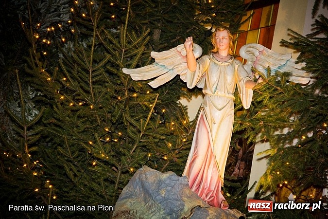 Zdjęcie w galerii na portalu naszraciborz.pl: Najpiękniejsze szopki bożonarodzeniowe w powiecie raciborskim wiadomości z regionu