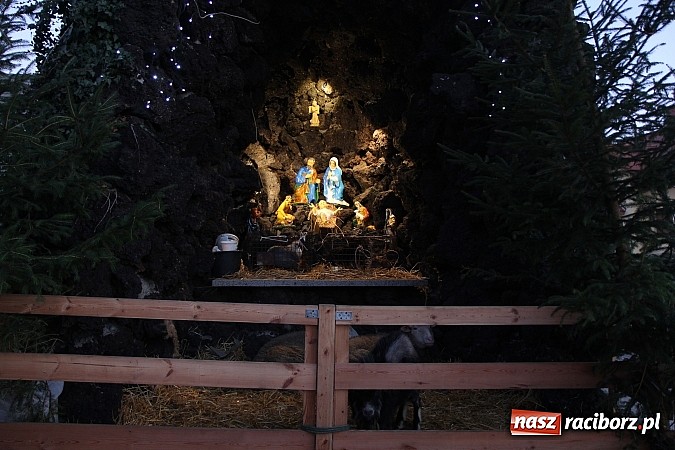 Zdjęcie w galerii na portalu naszraciborz.pl: Najpiękniejsze szopki bożonarodzeniowe w powiecie raciborskim wiadomości z regionu