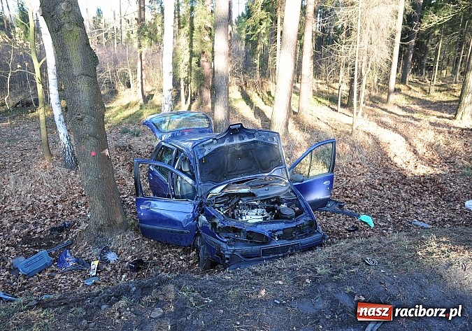 Zdjęcie w galerii na portalu naszraciborz.pl: Wypadek na trasie Kuźnia Raciborska-Ruda Kozielska. Ranny 45-latek wiadomości z regionu