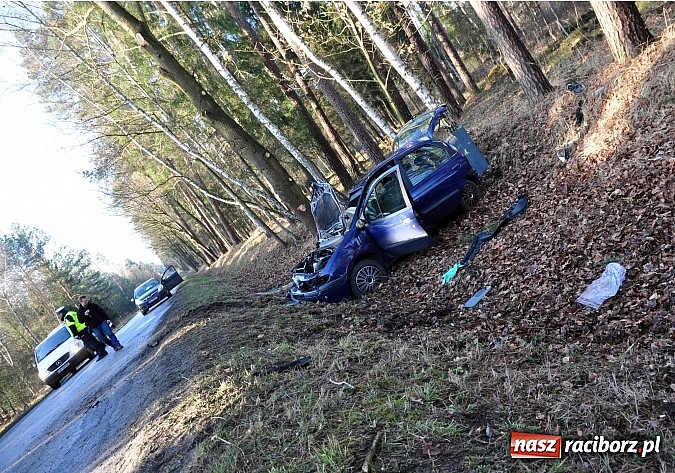 Zdjęcie w galerii na portalu naszraciborz.pl: Wypadek na trasie Kuźnia Raciborska-Ruda Kozielska. Ranny 45-latek wiadomości z regionu