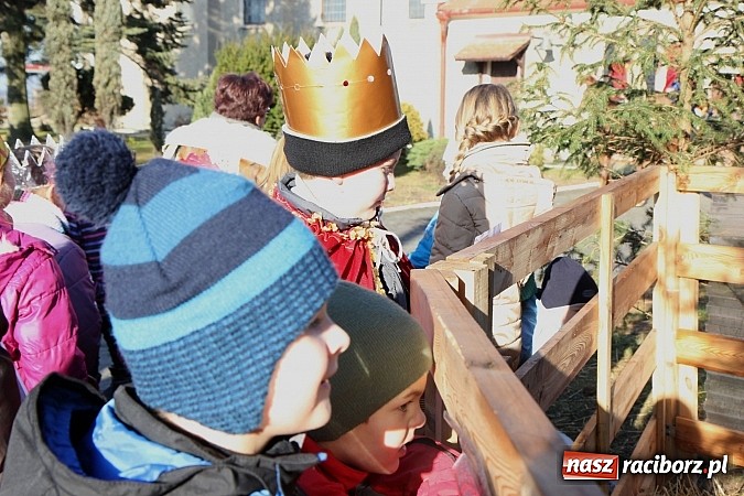 Zdjęcie w galerii na portalu naszraciborz.pl: Kobylski Orszak Trzech Króli wiadomości z regionu