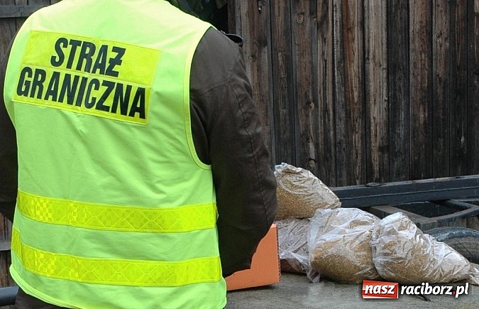Zdjęcie w galerii na portalu naszraciborz.pl: 28 kg tytoniu zatrzymała Straż Graniczna wiadomości z regionu
