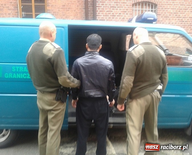 Zdjęcie w galerii na portalu naszraciborz.pl: Kolejni cudzoziemcy w rękach Straży Granicznej wiadomości z regionu