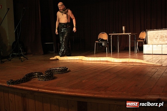 Zdjęcie w galerii na portalu naszraciborz.pl: Węże dusiciele zachwyciły dzieci w Krzanowicach wiadomości z regionu