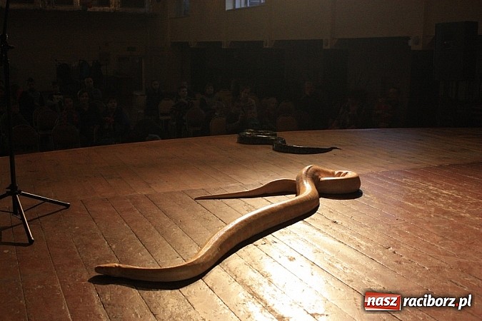 Zdjęcie w galerii na portalu naszraciborz.pl: Węże dusiciele zachwyciły dzieci w Krzanowicach wiadomości z regionu