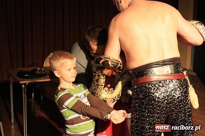 Zdjęcie w galerii na portalu naszraciborz.pl: Węże dusiciele zachwyciły dzieci w Krzanowicach wiadomości z regionu