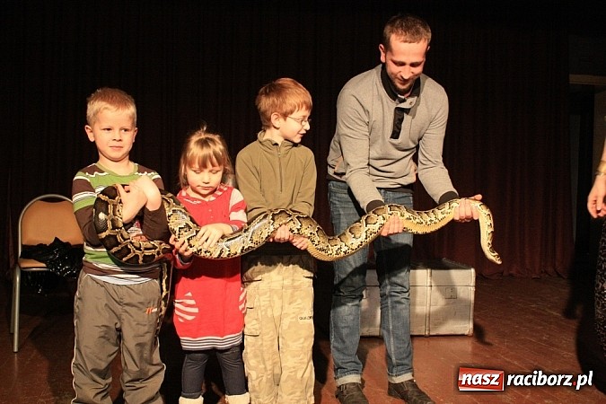 Zdjęcie w galerii na portalu naszraciborz.pl: Węże dusiciele zachwyciły dzieci w Krzanowicach wiadomości z regionu