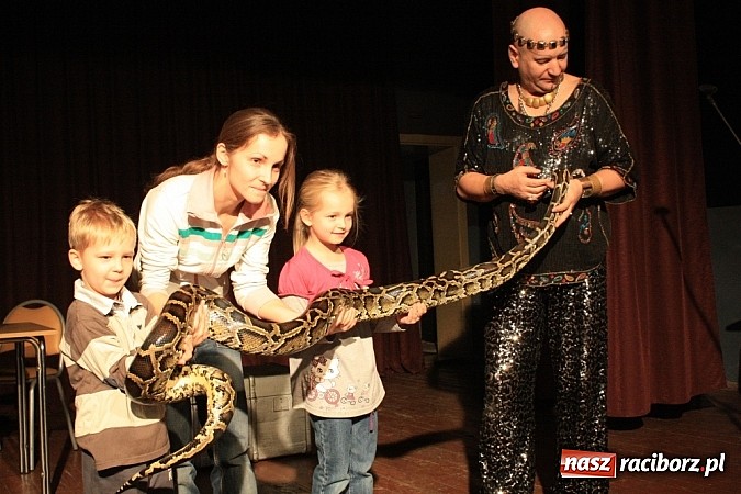 Zdjęcie w galerii na portalu naszraciborz.pl: Węże dusiciele zachwyciły dzieci w Krzanowicach wiadomości z regionu