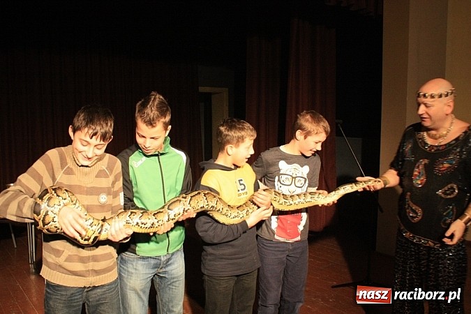 Zdjęcie w galerii na portalu naszraciborz.pl: Węże dusiciele zachwyciły dzieci w Krzanowicach wiadomości z regionu