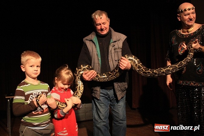 Zdjęcie w galerii na portalu naszraciborz.pl: Węże dusiciele zachwyciły dzieci w Krzanowicach wiadomości z regionu