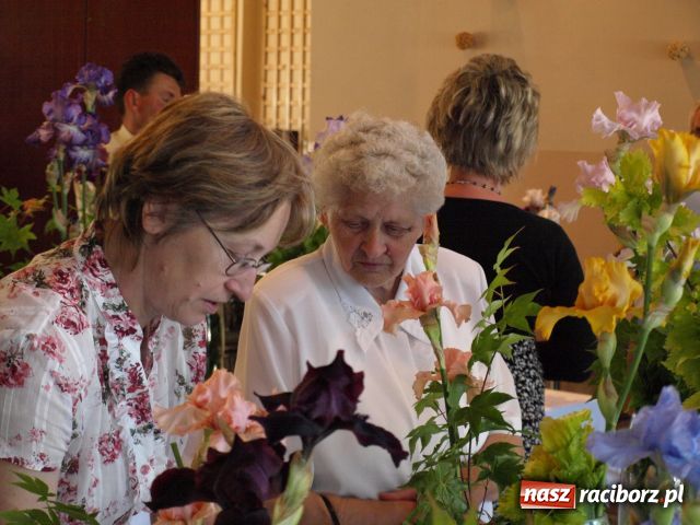 Zdjęcie w galerii na portalu naszraciborz.pl: Wystawa Irysów w Tworkowie wiadomości z regionu