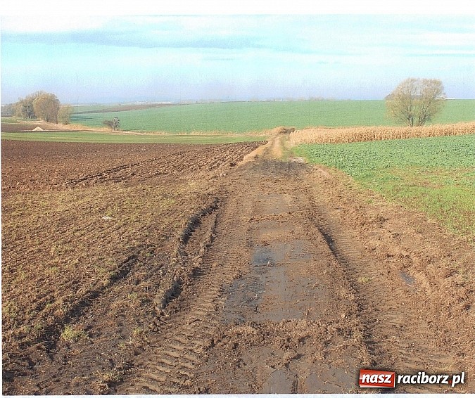 Zdjęcie w galerii na portalu naszraciborz.pl: Sp&oacute;r o miedzę w Pietraszynie. Sołtys stawił się przed komisją wiadomości z regionu