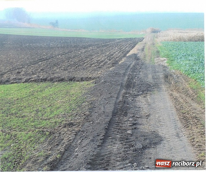 Zdjęcie w galerii na portalu naszraciborz.pl: Sp&oacute;r o miedzę w Pietraszynie. Sołtys stawił się przed komisją wiadomości z regionu