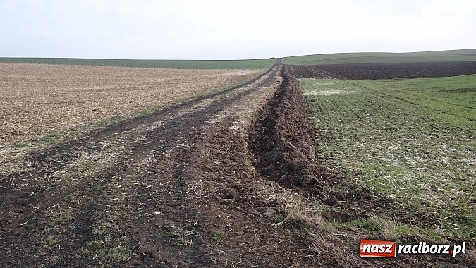 Zdjęcie w galerii na portalu naszraciborz.pl: Sp&oacute;r o miedzę w Pietraszynie. Sołtys stawił się przed komisją wiadomości z regionu