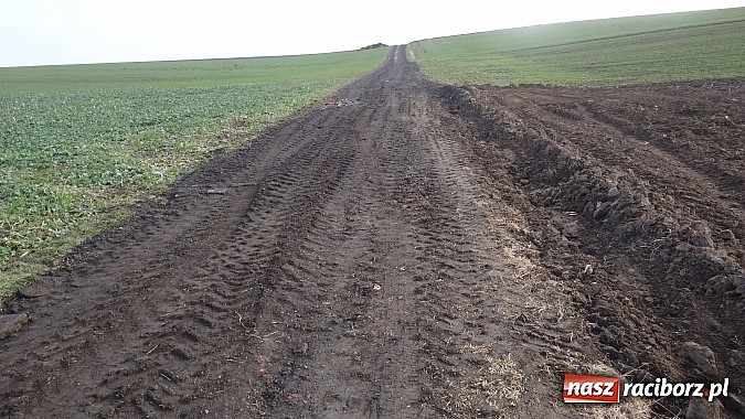 Zdjęcie w galerii na portalu naszraciborz.pl: Sp&oacute;r o miedzę w Pietraszynie. Sołtys stawił się przed komisją wiadomości z regionu