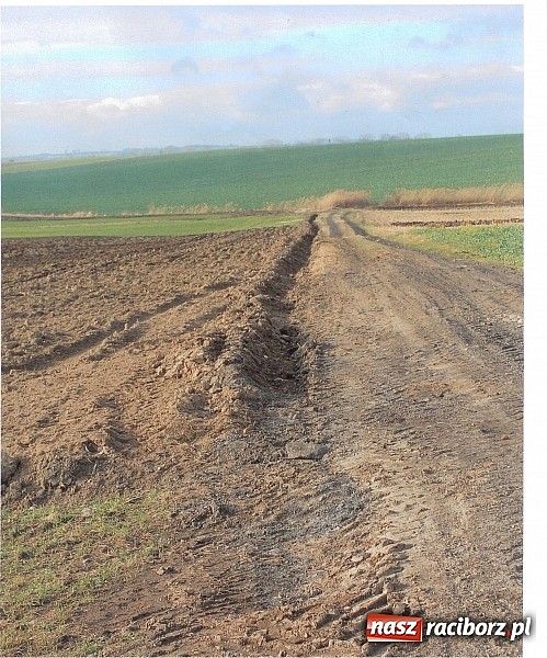 Zdjęcie w galerii na portalu naszraciborz.pl: Sp&oacute;r o miedzę w Pietraszynie. Sołtys stawił się przed komisją wiadomości z regionu