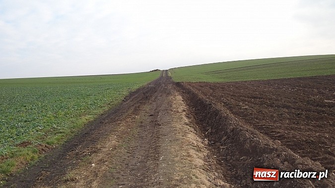 Zdjęcie w galerii na portalu naszraciborz.pl: Sp&oacute;r o miedzę w Pietraszynie. Sołtys stawił się przed komisją wiadomości z regionu