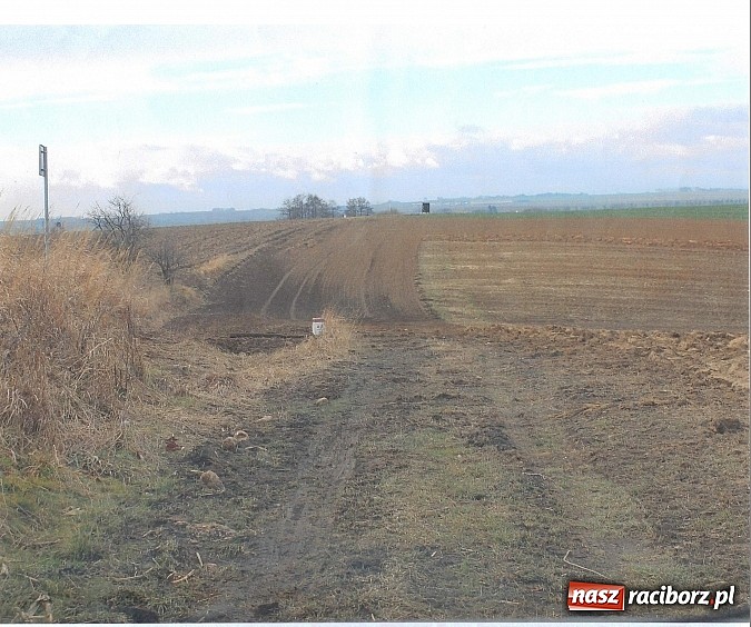 Zdjęcie w galerii na portalu naszraciborz.pl: Sp&oacute;r o miedzę w Pietraszynie. Sołtys stawił się przed komisją wiadomości z regionu