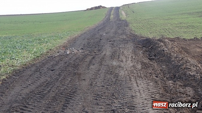 Zdjęcie w galerii na portalu naszraciborz.pl: Sp&oacute;r o miedzę w Pietraszynie. Sołtys stawił się przed komisją wiadomości z regionu