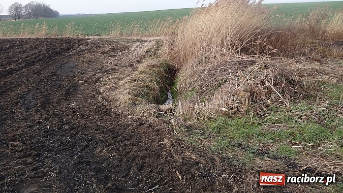 Zdjęcie w galerii na portalu naszraciborz.pl: Sp&oacute;r o miedzę w Pietraszynie. Sołtys stawił się przed komisją wiadomości z regionu