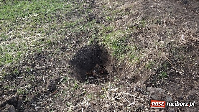 Zdjęcie w galerii na portalu naszraciborz.pl: Sp&oacute;r o miedzę w Pietraszynie. Sołtys stawił się przed komisją wiadomości z regionu