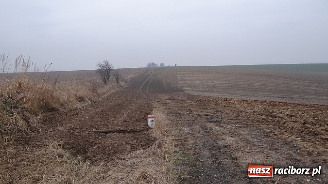 Zdjęcie w galerii na portalu naszraciborz.pl: Sp&oacute;r o miedzę w Pietraszynie. Sołtys stawił się przed komisją wiadomości z regionu