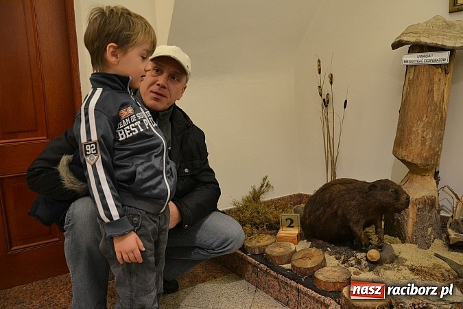 Zdjęcie w galerii na portalu naszraciborz.pl: Zamkowe Ferie 2014 finiszują. Jutro noc na zamku wiadomości z regionu