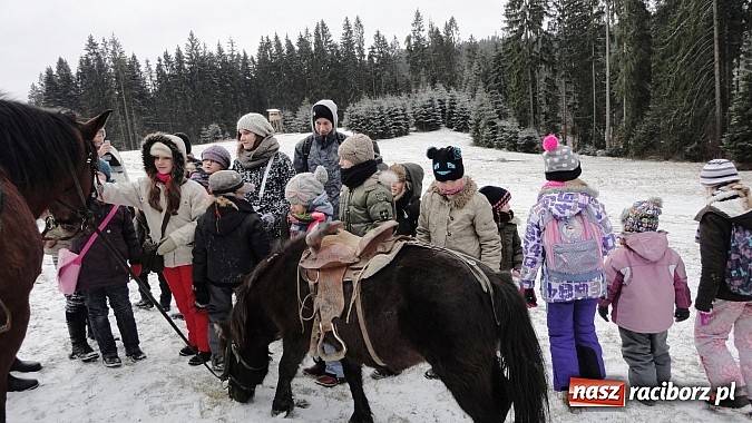 Zdjęcie w galerii na portalu naszraciborz.pl: Moc atrakcji w GCK w Nędzy! wiadomości z regionu