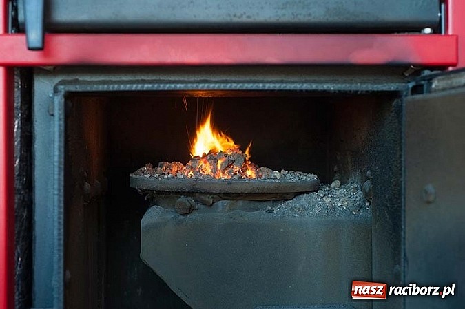 Zdjęcie w galerii na portalu naszraciborz.pl: Jest już bezpieczny dla środowiska ekowęgiel wiadomości z regionu