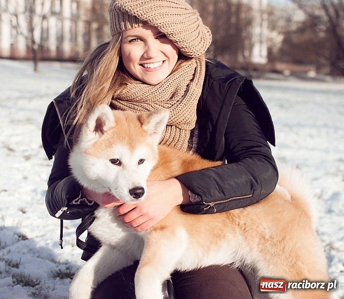 Zdjęcie w galerii na portalu naszraciborz.pl: Pom&oacute;ż zwierzętom z wojew&oacute;dztwa śląskiego przetrwać zimę wiadomości z regionu