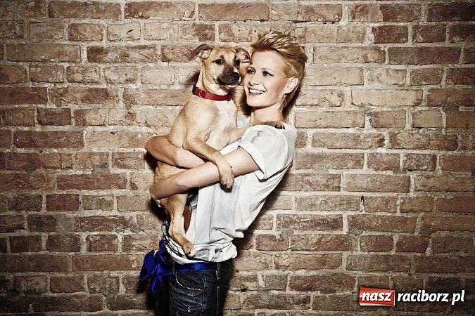 Zdjęcie w galerii na portalu naszraciborz.pl: Pom&oacute;ż zwierzętom z wojew&oacute;dztwa śląskiego przetrwać zimę wiadomości z regionu