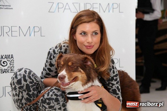 Zdjęcie w galerii na portalu naszraciborz.pl: Pom&oacute;ż zwierzętom z wojew&oacute;dztwa śląskiego przetrwać zimę wiadomości z regionu