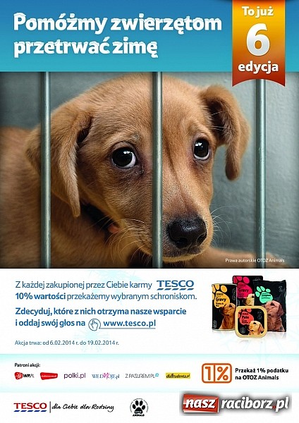 Zdjęcie w galerii na portalu naszraciborz.pl: Pom&oacute;ż zwierzętom z wojew&oacute;dztwa śląskiego przetrwać zimę wiadomości z regionu