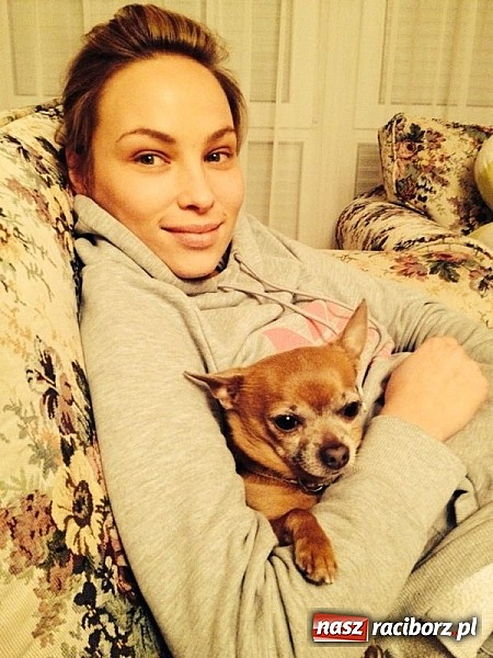 Zdjęcie w galerii na portalu naszraciborz.pl: Pom&oacute;ż zwierzętom z wojew&oacute;dztwa śląskiego przetrwać zimę wiadomości z regionu