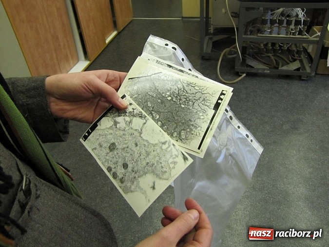 Zdjęcie w galerii na portalu naszraciborz.pl: Nowy mikroskop dla pracowni w Gimnazjum nr 3 wiadomości z regionu