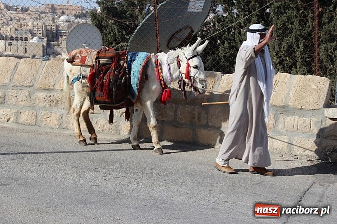 Zdjęcie w galerii na portalu naszraciborz.pl: Z Wojnowic do Ziemi Świętej. Wiecz&oacute;r wspomnień wiadomości z regionu