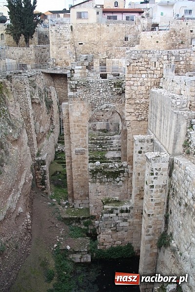 Zdjęcie w galerii na portalu naszraciborz.pl: Z Wojnowic do Ziemi Świętej. Wiecz&oacute;r wspomnień wiadomości z regionu