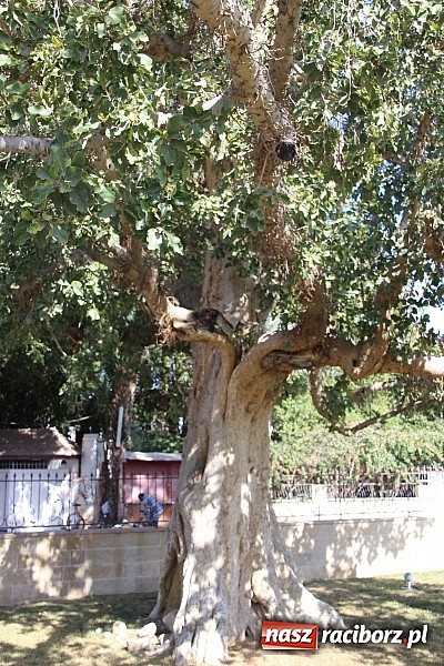 Zdjęcie w galerii na portalu naszraciborz.pl: Z Wojnowic do Ziemi Świętej. Wiecz&oacute;r wspomnień wiadomości z regionu