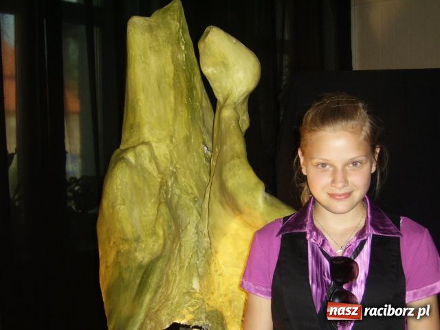 Zdjęcie w galerii na portalu naszraciborz.pl: Forma i kolor w rzeźbie wiadomości z regionu