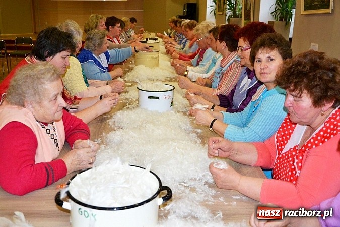 Zdjęcie w galerii na portalu naszraciborz.pl: Gospodynie z Tworkowa szkubały pierze wiadomości z regionu