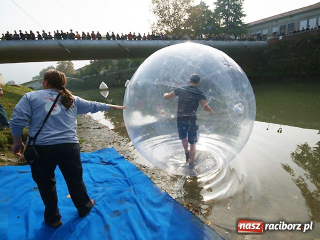 Zdjęcie w galerii na portalu naszraciborz.pl: Będziemy mogli chodzić po wodzie wiadomości z regionu