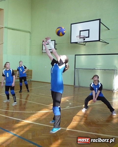 Zdjęcie w galerii na portalu naszraciborz.pl: Piłka siatkowa: Siatkarski maraton rozpoczęty! wiadomości z regionu