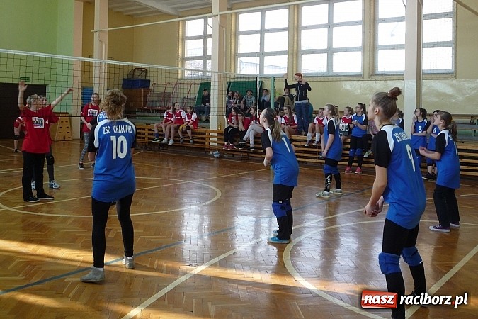 Zdjęcie w galerii na portalu naszraciborz.pl: Piłka siatkowa: Siatkarski maraton rozpoczęty! wiadomości z regionu