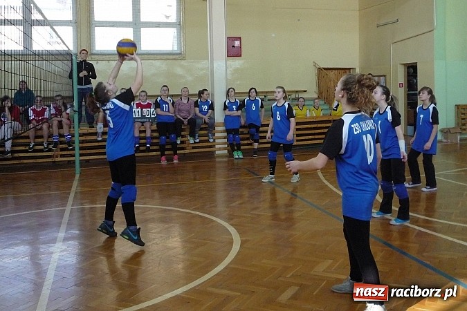 Zdjęcie w galerii na portalu naszraciborz.pl: Piłka siatkowa: Siatkarski maraton rozpoczęty! wiadomości z regionu