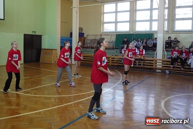 Zdjęcie w galerii na portalu naszraciborz.pl: Piłka siatkowa: Siatkarski maraton rozpoczęty! wiadomości z regionu