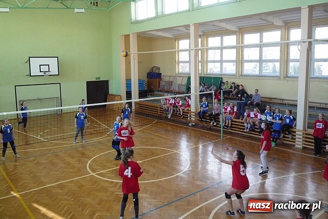 Zdjęcie w galerii na portalu naszraciborz.pl: Piłka siatkowa: Siatkarski maraton rozpoczęty! wiadomości z regionu