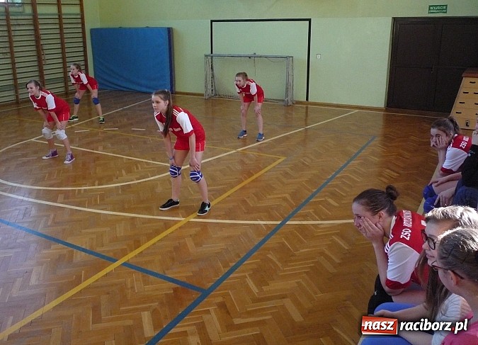Zdjęcie w galerii na portalu naszraciborz.pl: Piłka siatkowa: Siatkarski maraton rozpoczęty! wiadomości z regionu