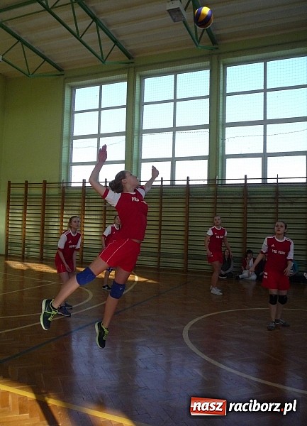 Zdjęcie w galerii na portalu naszraciborz.pl: Piłka siatkowa: Siatkarski maraton rozpoczęty! wiadomości z regionu
