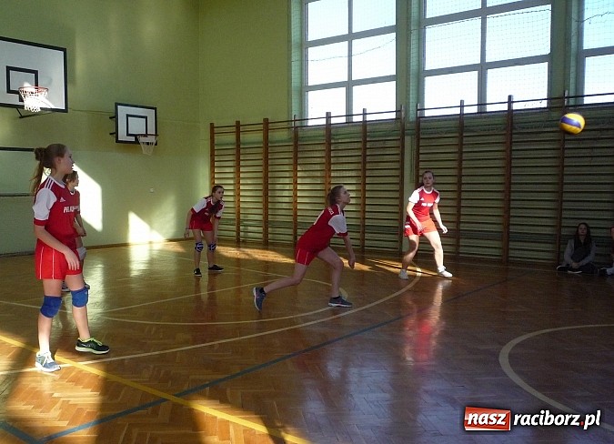 Zdjęcie w galerii na portalu naszraciborz.pl: Piłka siatkowa: Siatkarski maraton rozpoczęty! wiadomości z regionu