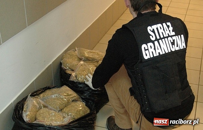 Zdjęcie w galerii na portalu naszraciborz.pl: Ponad 38 kilogramów krajanki tytoniowej i 1380 sztuk papierosów w rękach Straży Granicznej wiadomości z regionu